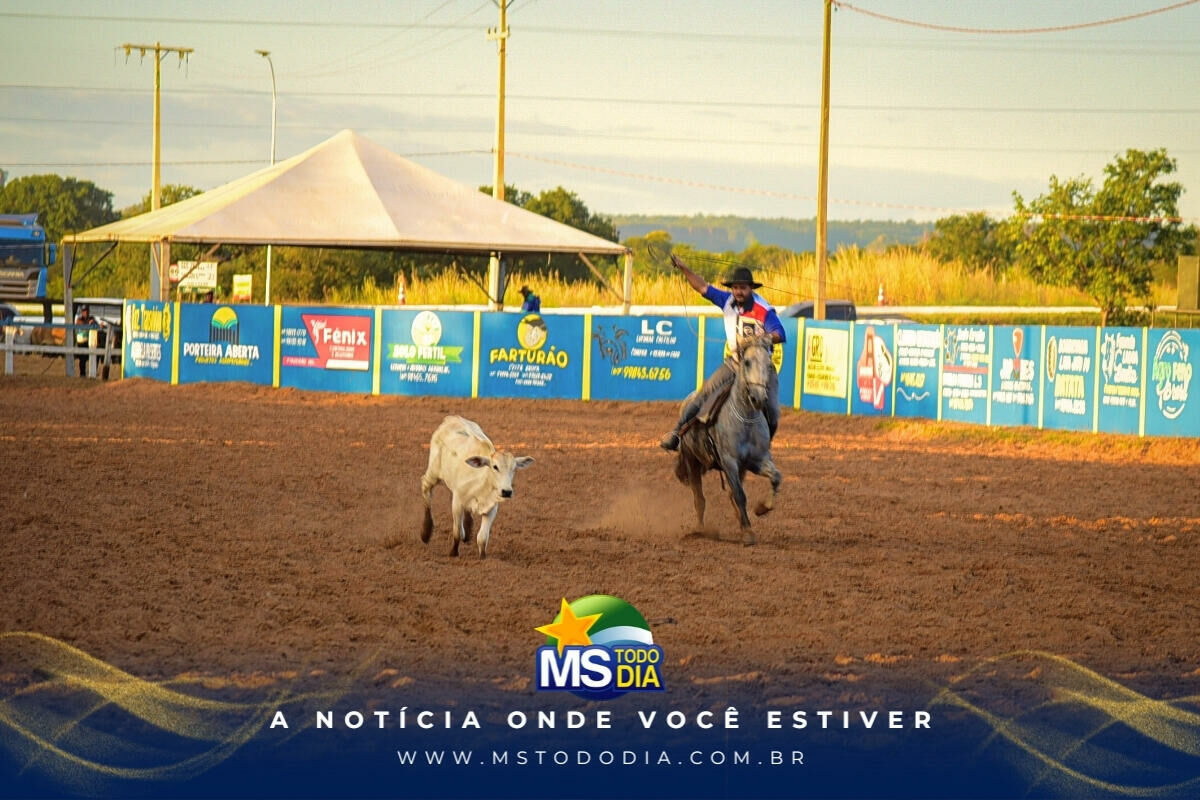 Imagem da Galeria
